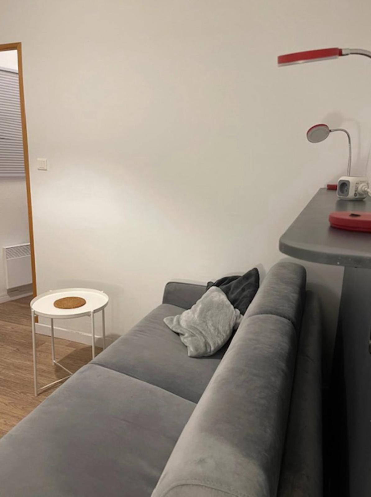 Cosy Studio 16M2 Lyon Ngoại thất bức ảnh